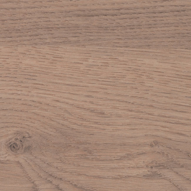 4627-rovere-valdweg_aleve (1).jpeg