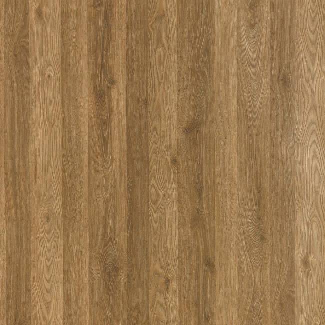 SM_art_C005_Cricket_Club_development (1).jpeg