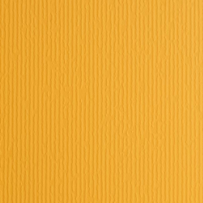 SM_art_0037_Curry_Dune_1-1 (1).jpeg